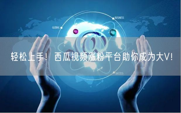 轻松上手！西瓜视频涨粉平台助你成为大V！