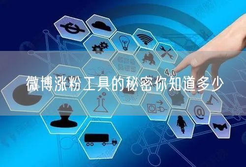 微博涨粉工具的秘密你知道多少