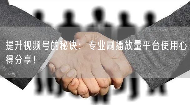 提升视频号的秘诀：专业刷播放量平台使用心