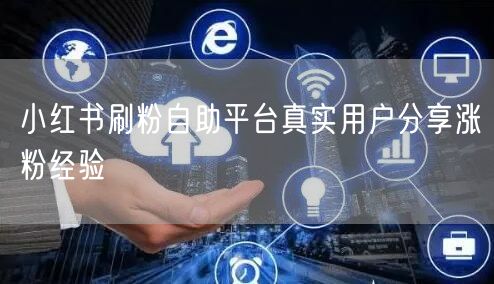 小红书刷粉自助平台真实用户分享涨粉经验