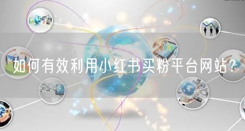 如何有效利用小红书买粉平台网站？