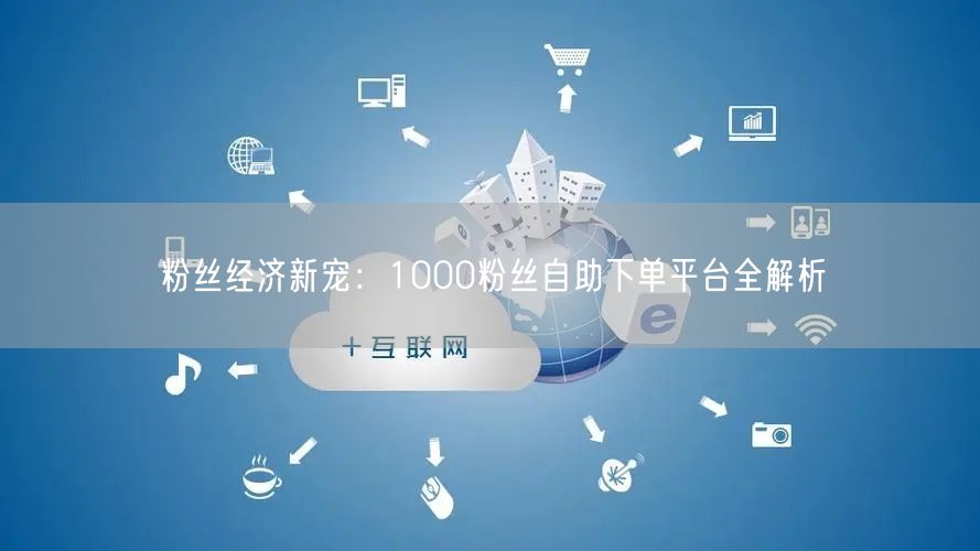 粉丝经济新宠：1000粉丝自助下单平台全解析