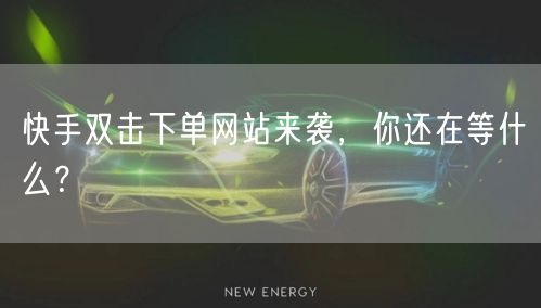 快手双击下单网站来袭，你还在等什么？