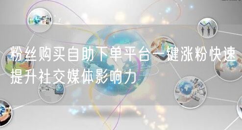 粉丝购买自助下单平台一键涨粉快速提升社交媒体影响力