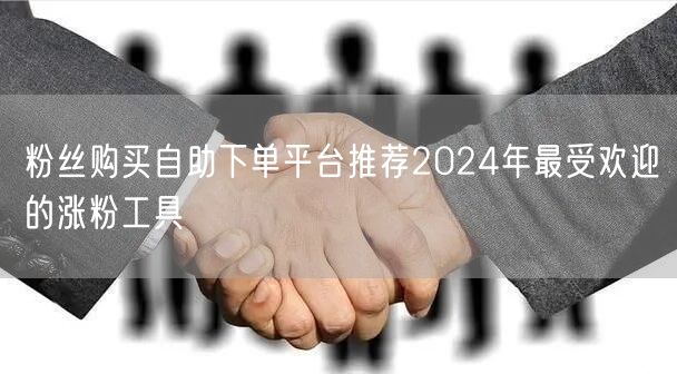 粉丝购买自助下单平台推荐2024年最受欢迎的涨粉工具