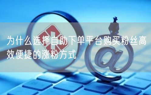 为什么选择自助下单平台购买粉丝高效便捷的涨粉方式
